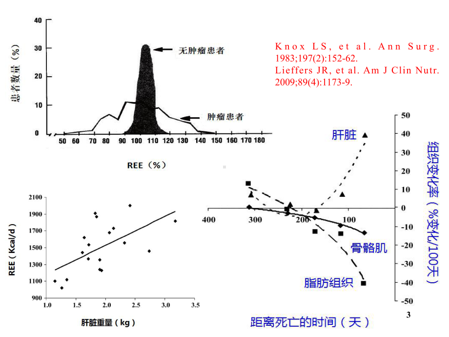 肿瘤代谢调节疗法ppt课件.ppt_第3页