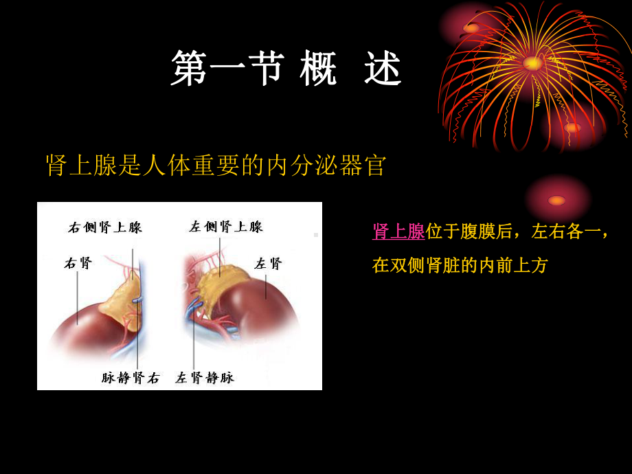 肾上腺病病人手术的麻醉课件.ppt_第2页