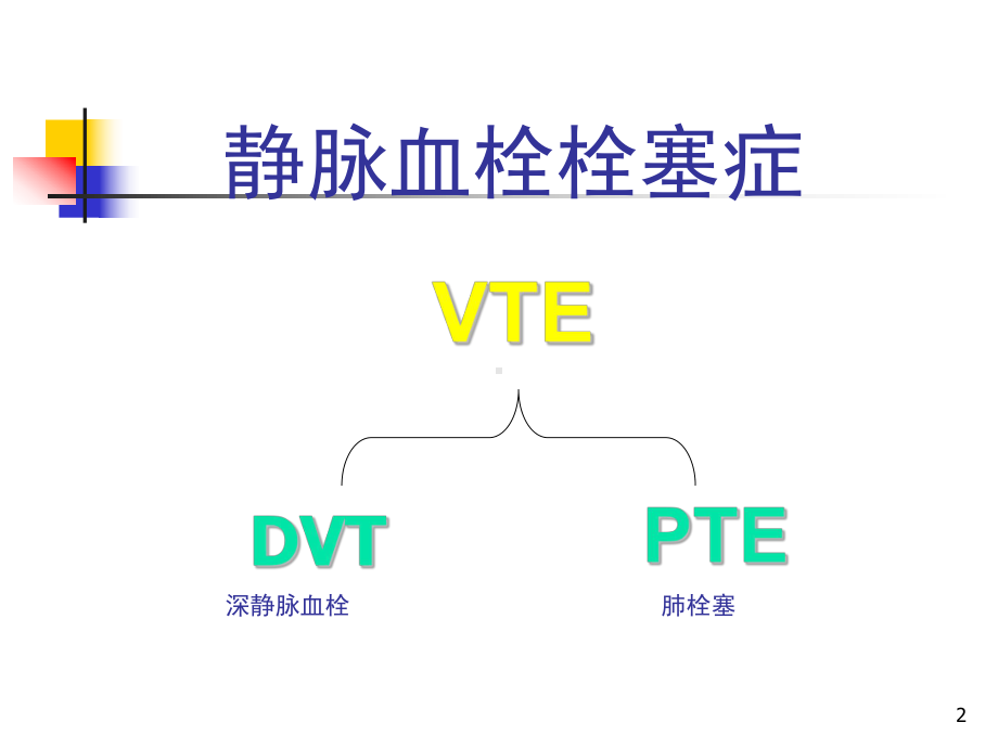 下肢静脉血栓形成机制ppt课件.ppt_第2页