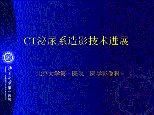 CT泌尿系造影技术进展课件.ppt