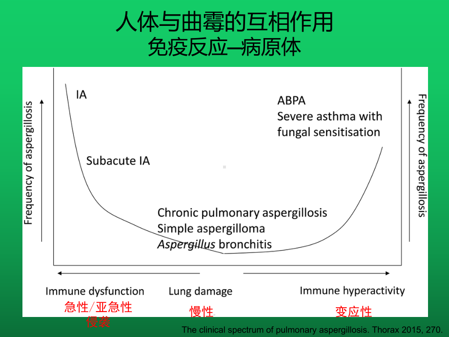 慢性肺曲霉病诊疗指南要点解读课件.pptx_第2页