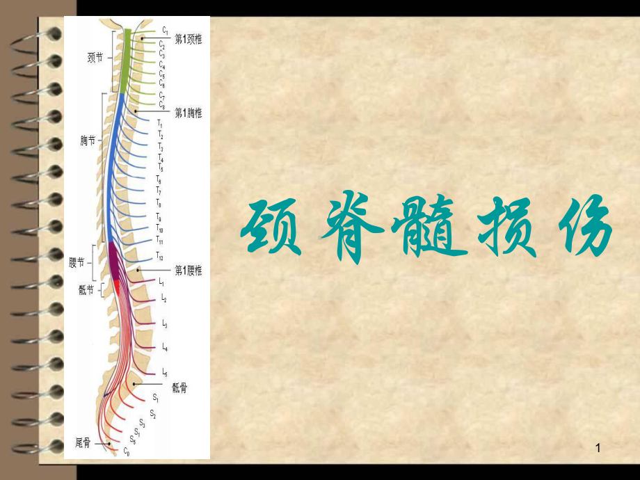 颈脊髓损伤PPT课件.ppt_第1页