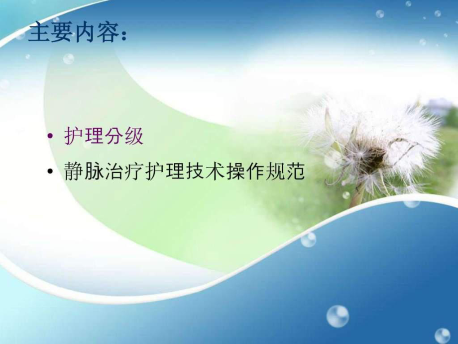 分级护理行业标准解读新课件.ppt_第2页