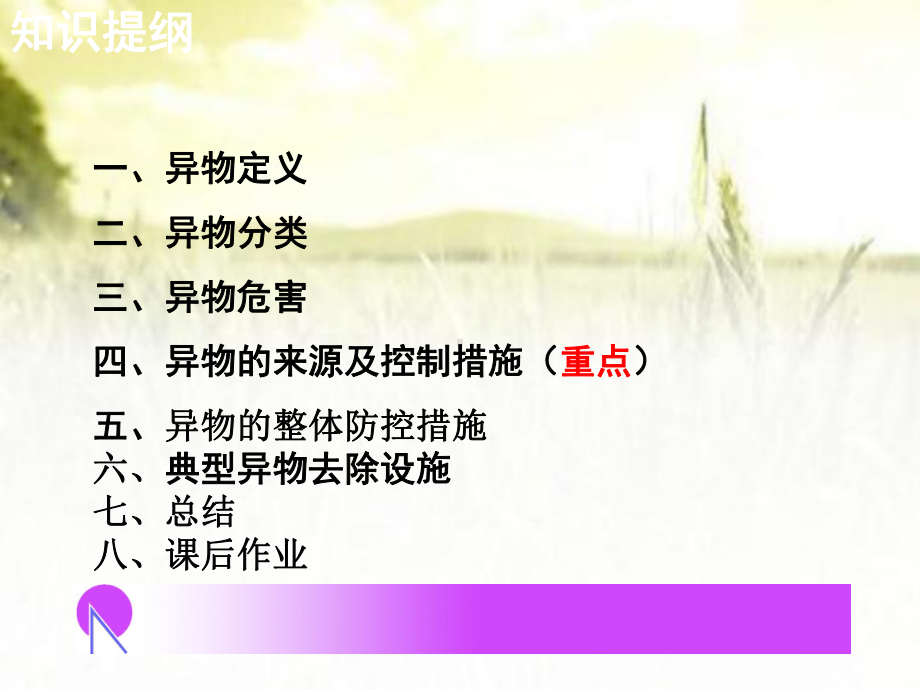 异物控制培训-PPT课件.ppt_第2页