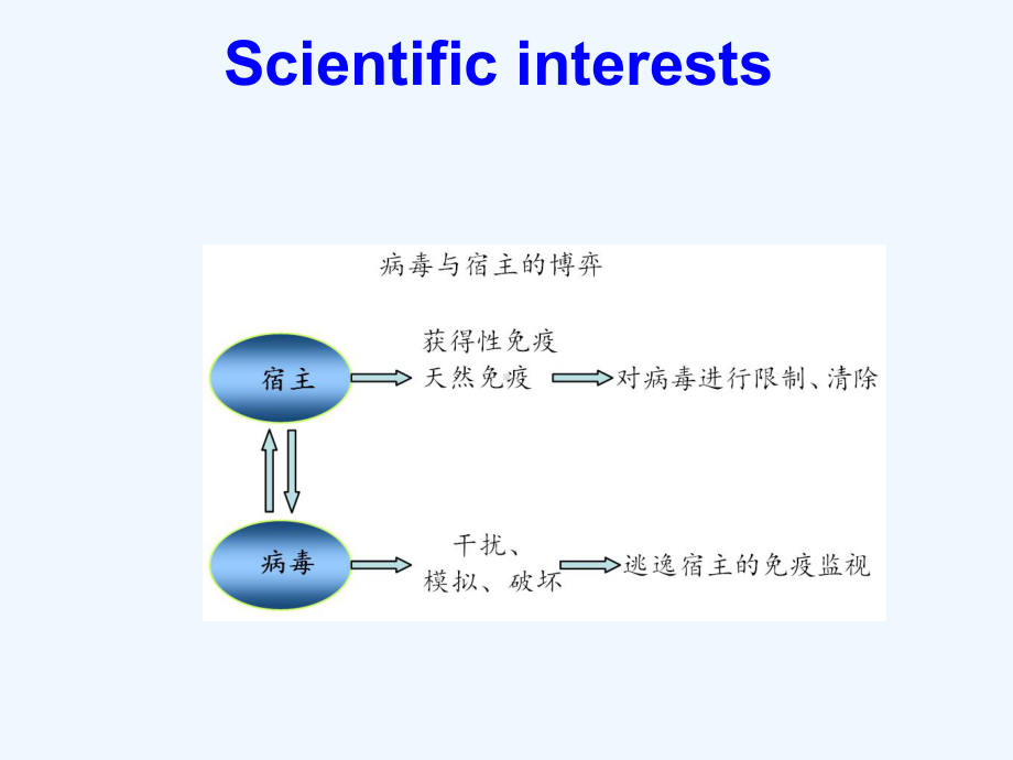 疱疹病毒感染与免疫逃逸课件.ppt_第2页