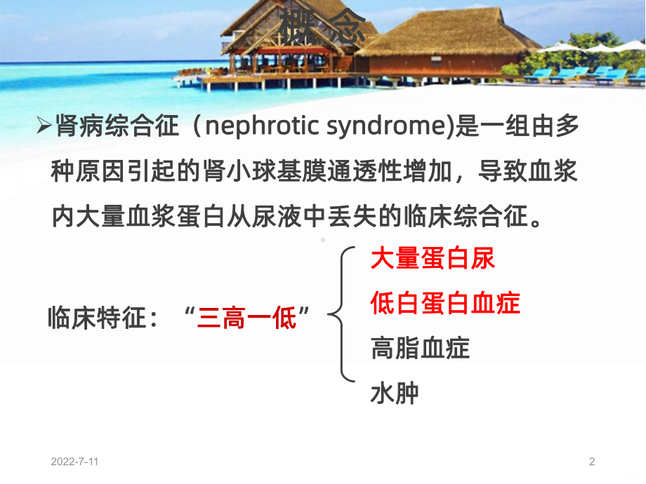 肾病综合征最新PPT课件.ppt_第2页