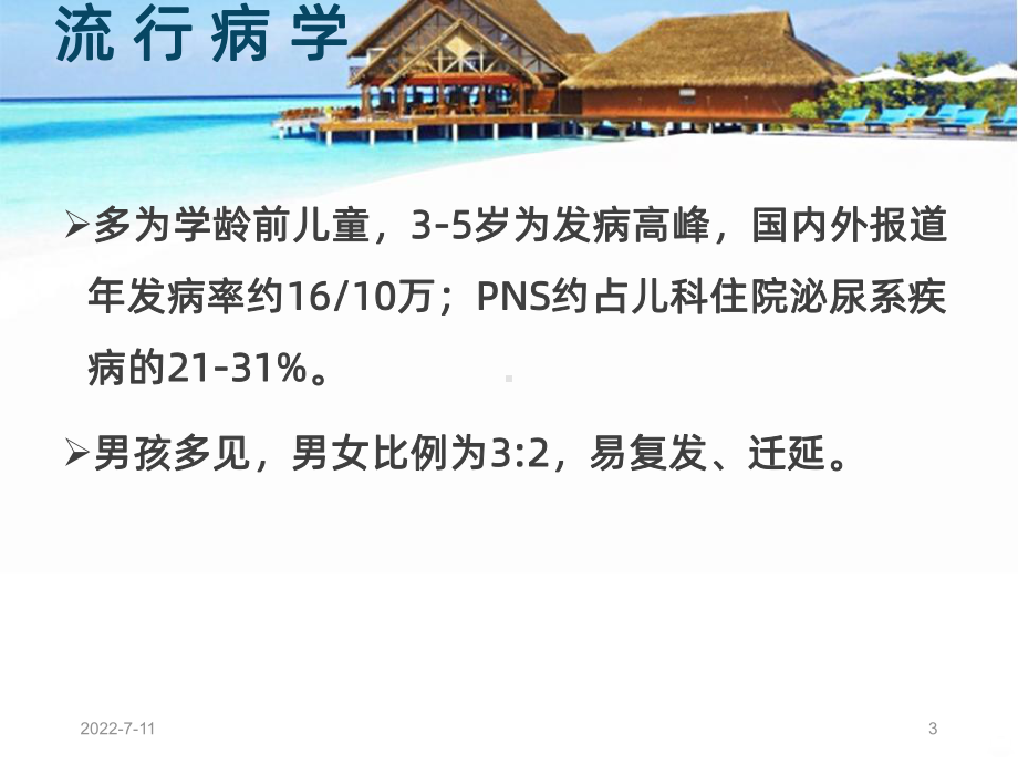 肾病综合征最新PPT课件.ppt_第3页