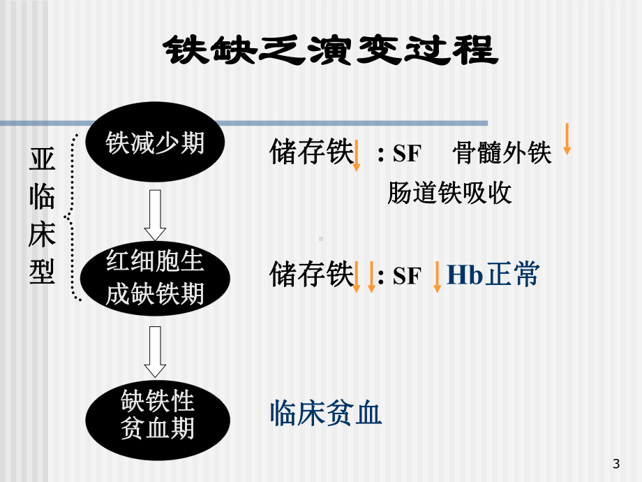 缺铁性贫血的诊断与治疗课件.ppt_第3页