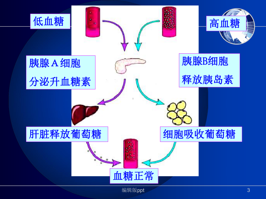 糖尿病及并发症的护理课件.ppt_第3页