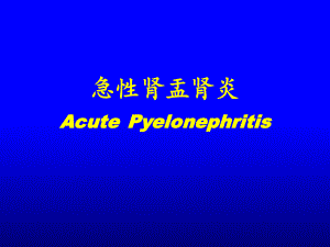 急性肾盂肾炎-ppt课件.ppt