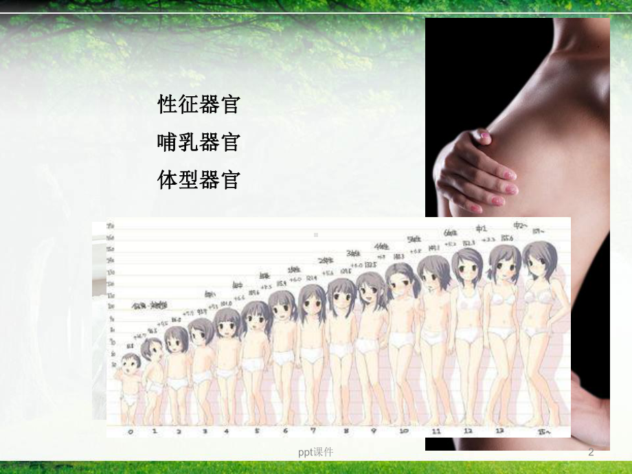 急性乳腺炎-ppt课件.ppt_第2页