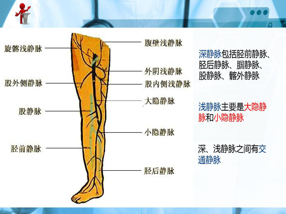 外科护理-原发性下肢静脉曲张病人的护理共37页文档课件.ppt_第3页