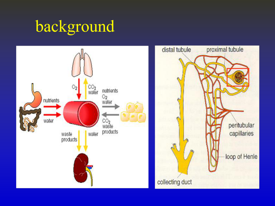 重症血液净化模式与剂量课件.ppt_第2页