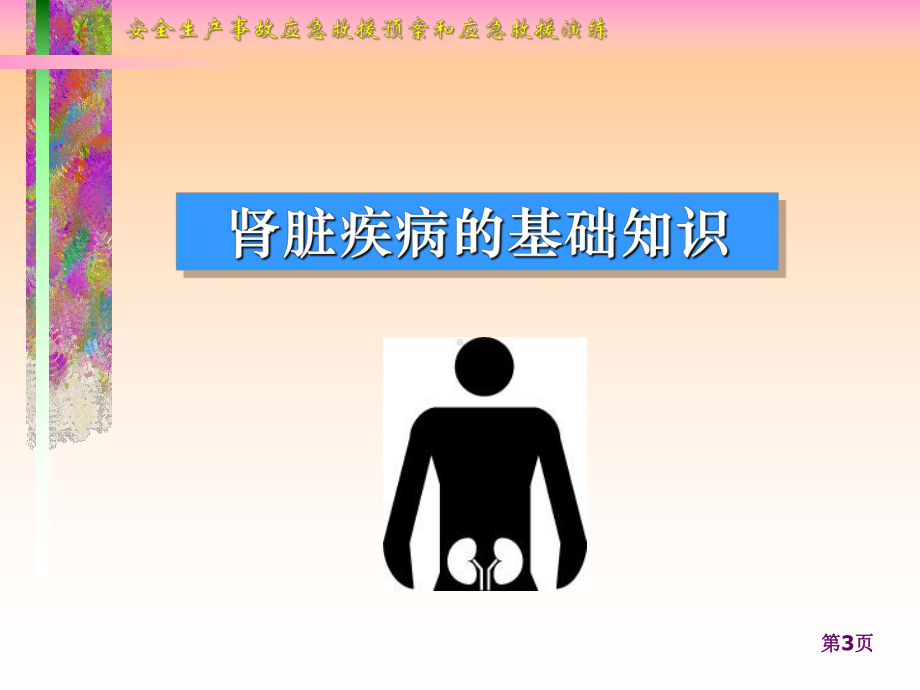 肾脏病相关知识介绍ppt课件.ppt_第3页