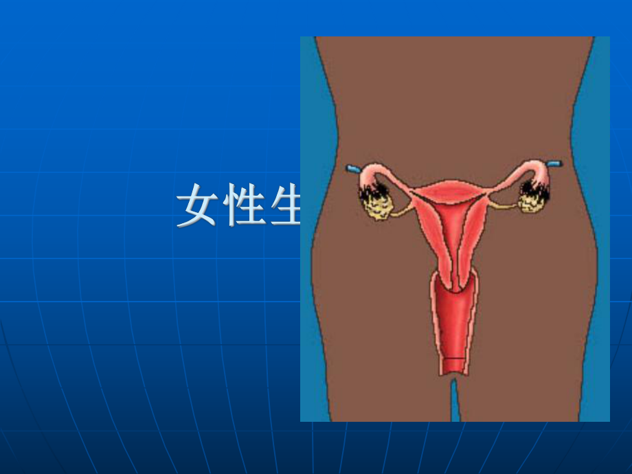 女性生殖系统保护及护理课件.ppt_第1页