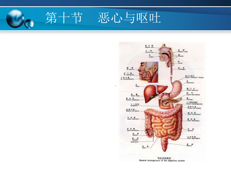 恶心呕吐呕血便血腹痛课件.ppt_第2页