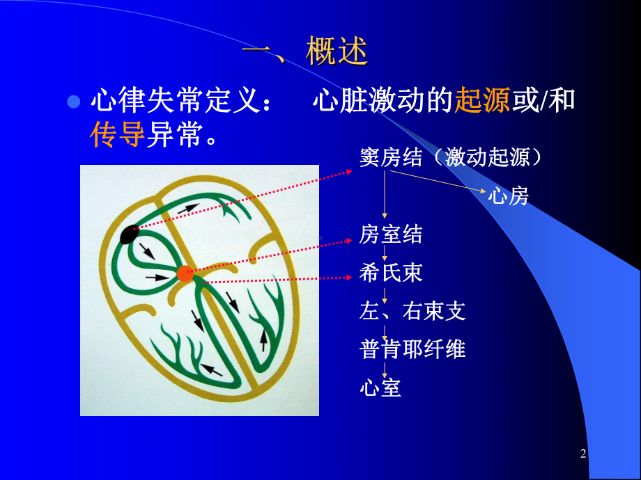 心电图心律失常PPT课件.ppt_第2页