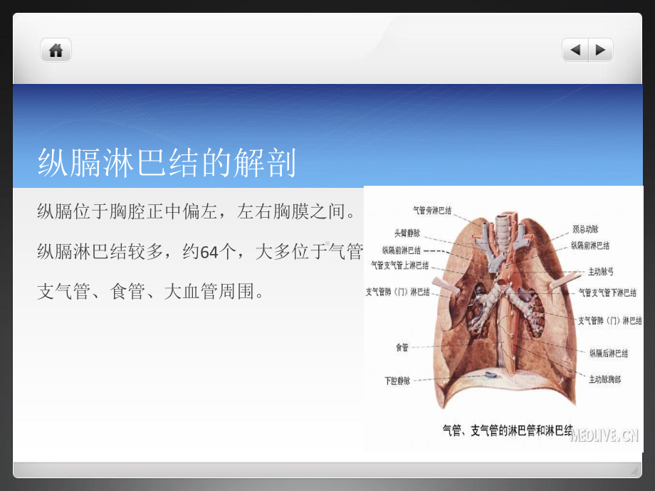 纵膈淋巴结节ppt课件.pptx_第2页