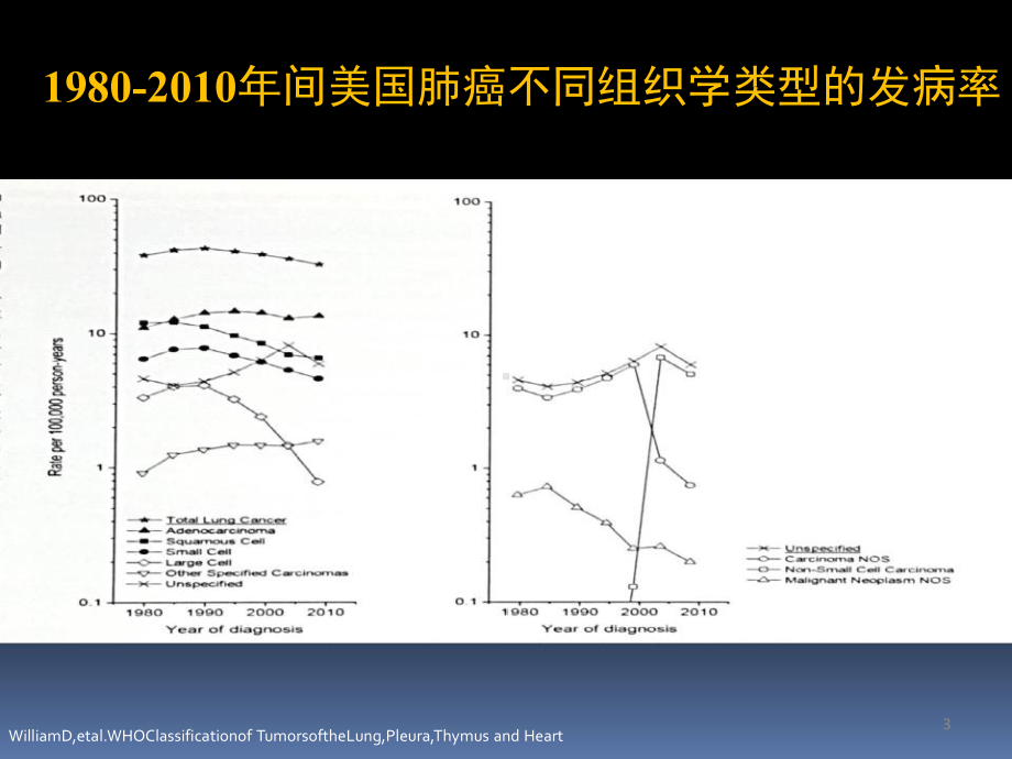 WHO肺癌病理新分型对临床实践的指导意义（朱雄增课件.pptx_第3页