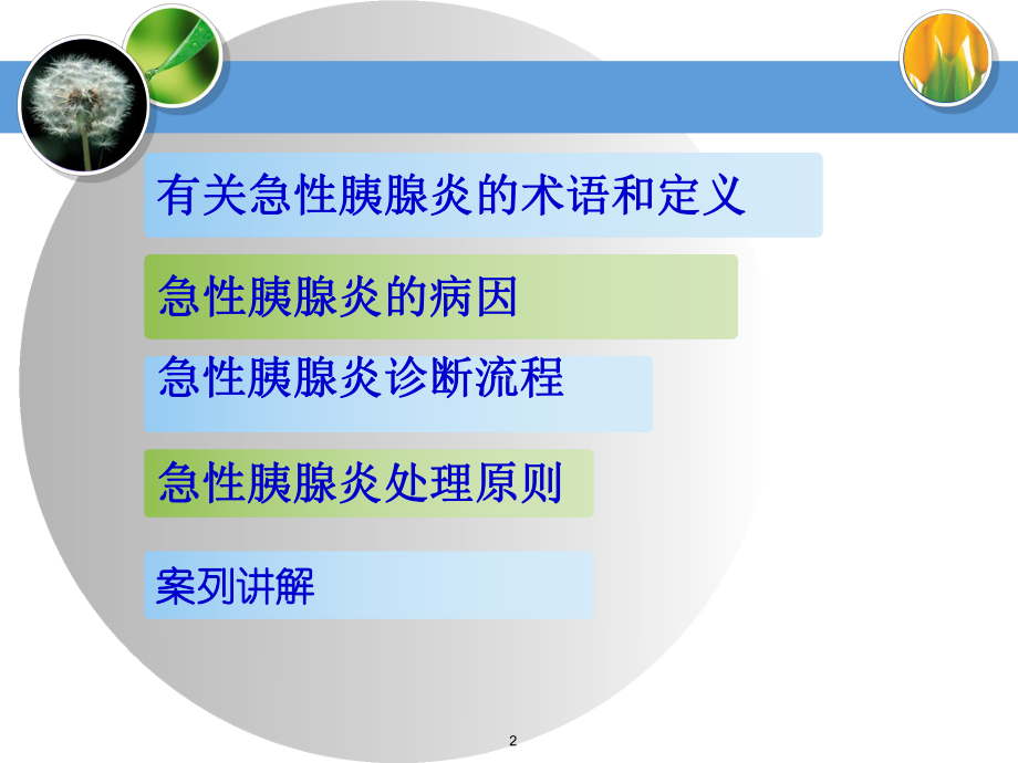 急性胰腺炎诊治PPT课件.ppt_第2页