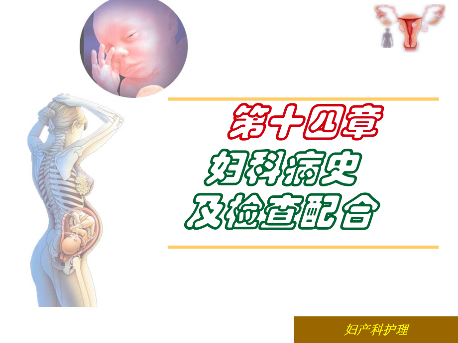 妇科病史及检查配合1课件.ppt_第1页