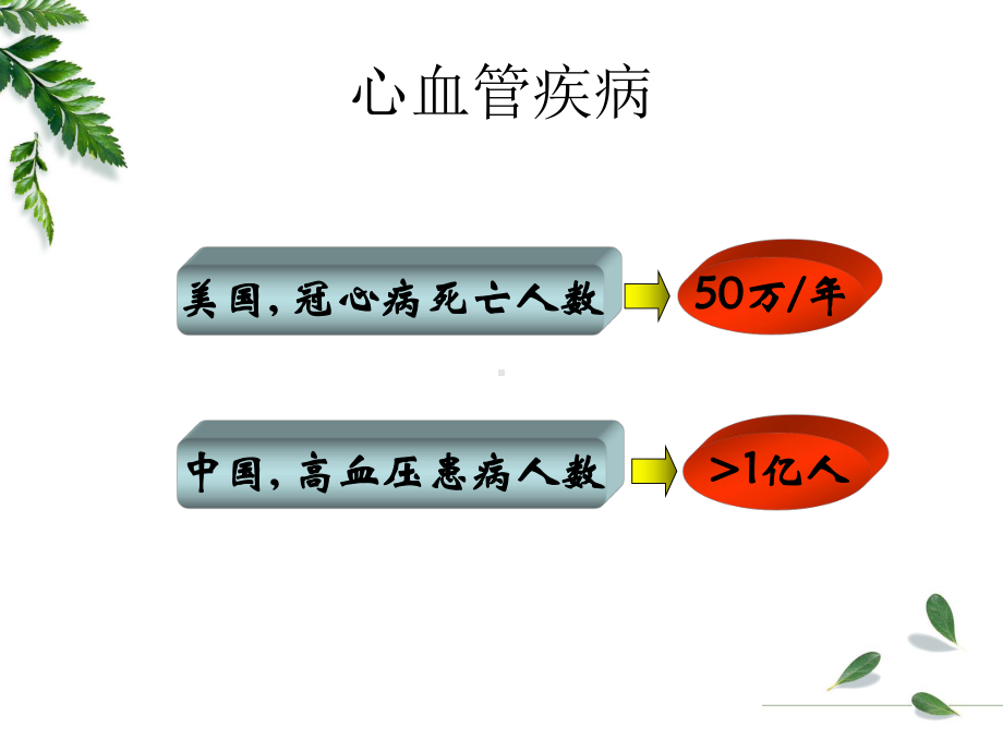 心力衰竭-病理学教研室课件.ppt_第2页