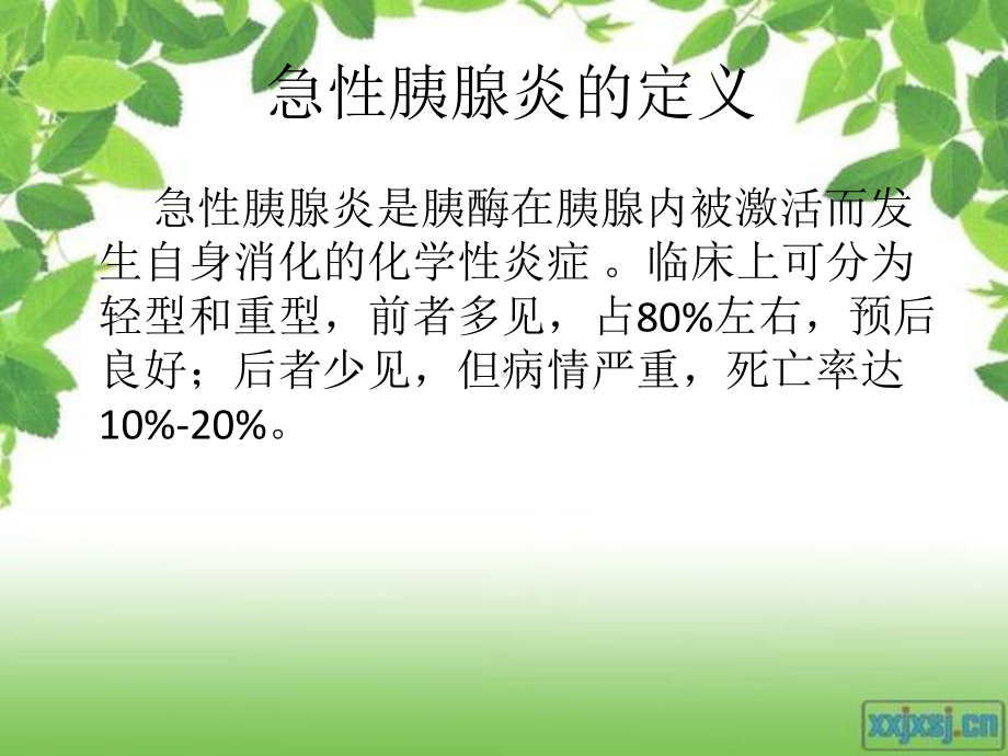 急性胰腺炎治疗-()ppt课件.ppt_第2页