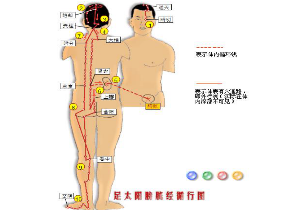 [最新]足太阳膀胱经课件.ppt_第3页