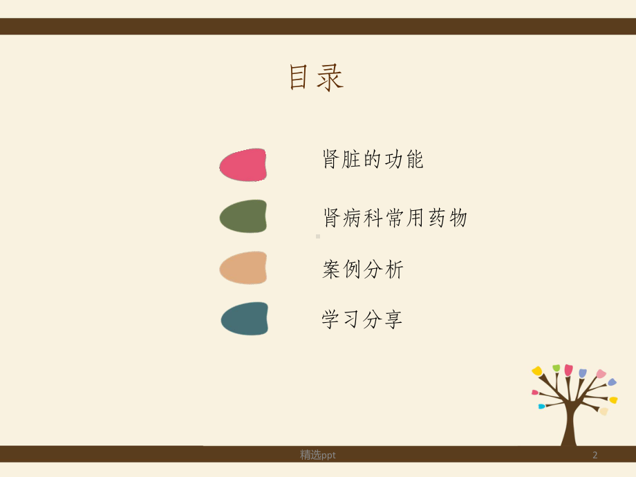 肾内科常用药物介绍(1)课件.ppt_第2页