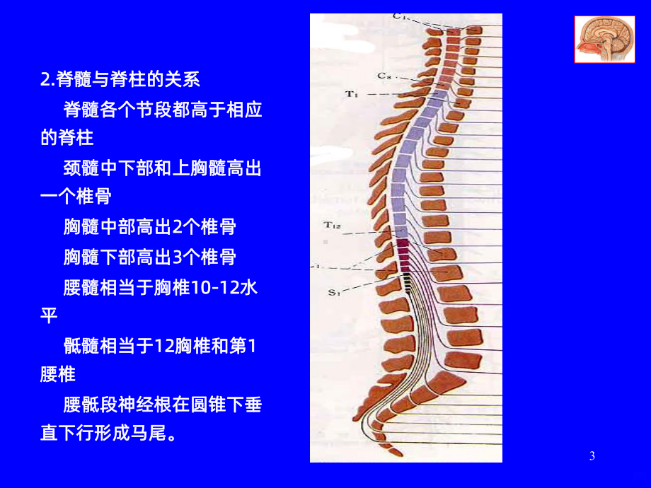 脊髓病变PPT课件.ppt_第3页