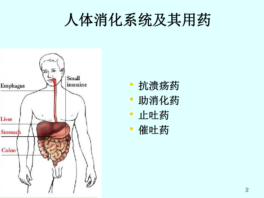 第五章-消化系统药物课件.ppt_第2页