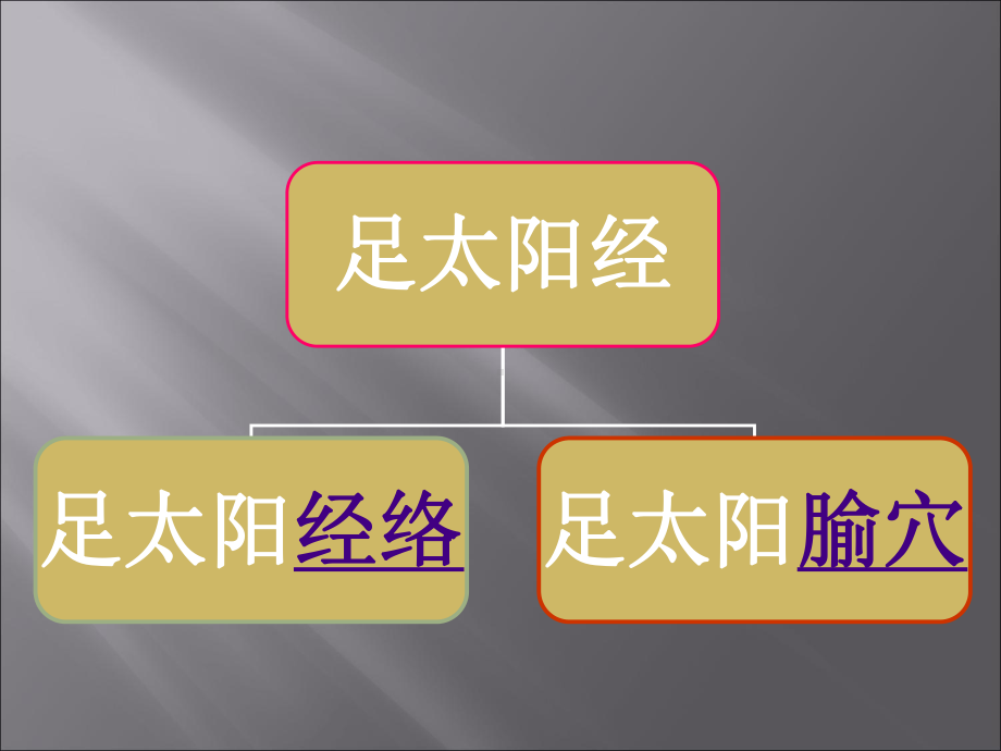 [重点]足太阳膀胱经课件.ppt_第3页