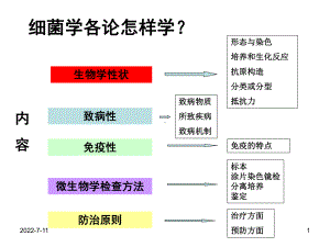 第5章1-化脓性球菌课件.ppt