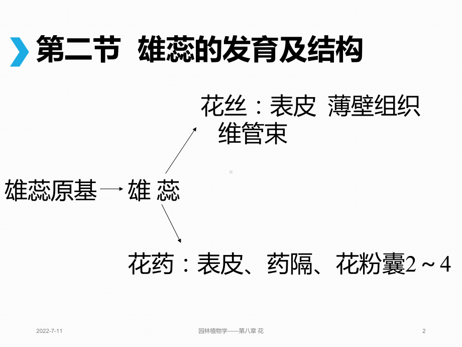 花粉母细胞的减数分裂课件.ppt_第2页