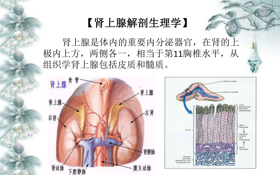 皮质醇增多症业务学习课件.ppt_第3页