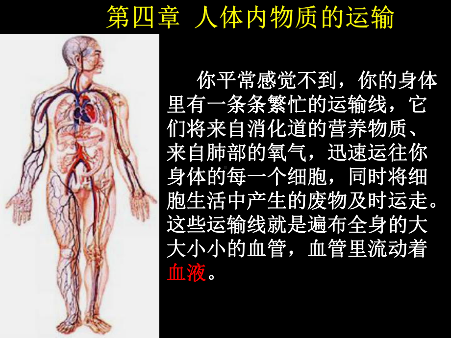 尝试识别红细胞和白细胞课件.ppt_第3页