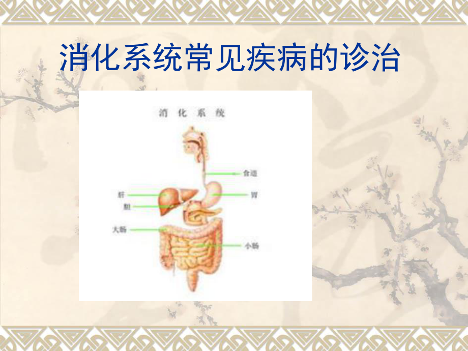 消化系统常见疾病-图文课件.ppt_第1页