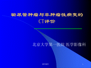 输尿管肿瘤-ppt课件.ppt