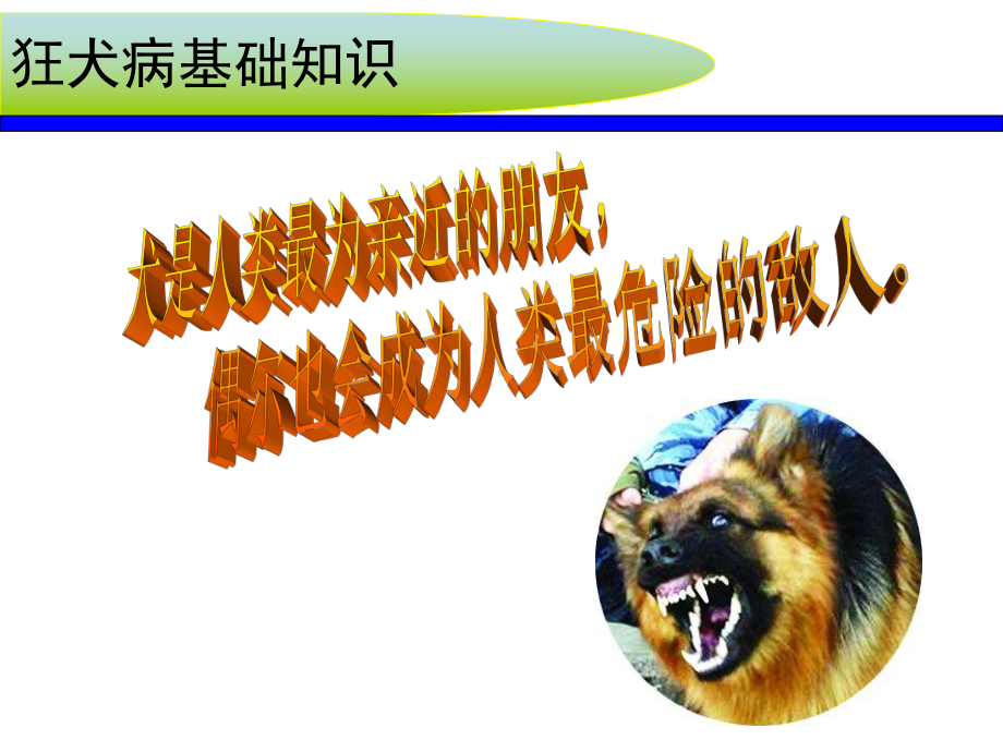 狂犬病的预防急救措施课件.ppt_第2页