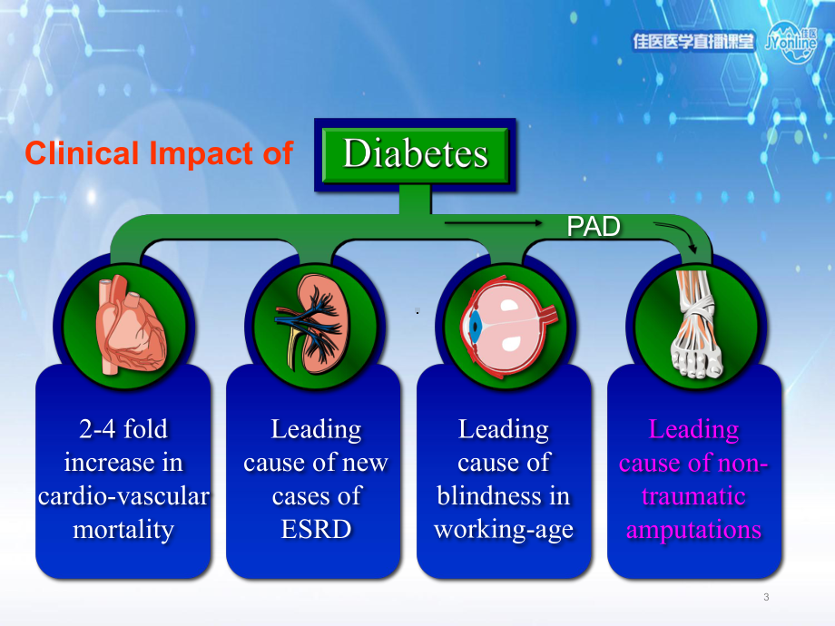 糖尿病足诊治全程管理PPT课件.ppt_第3页