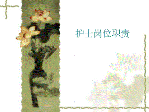 护士岗位职责-ppt课件.ppt