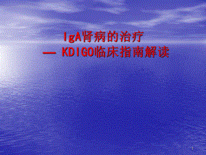 KDIGO指南解读IgA肾病的治疗ppt课件.ppt