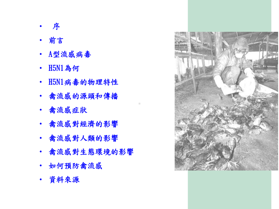 流感对全球人类的威胁课件.ppt_第2页