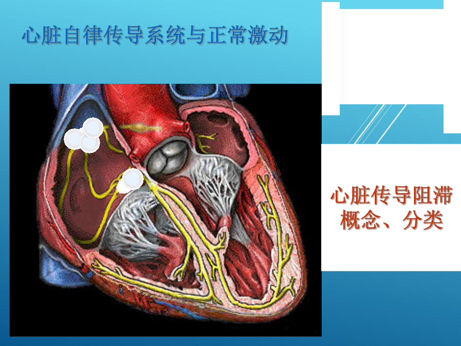 临床关注的房室传导阻滞热点问题课件.pptx_第1页