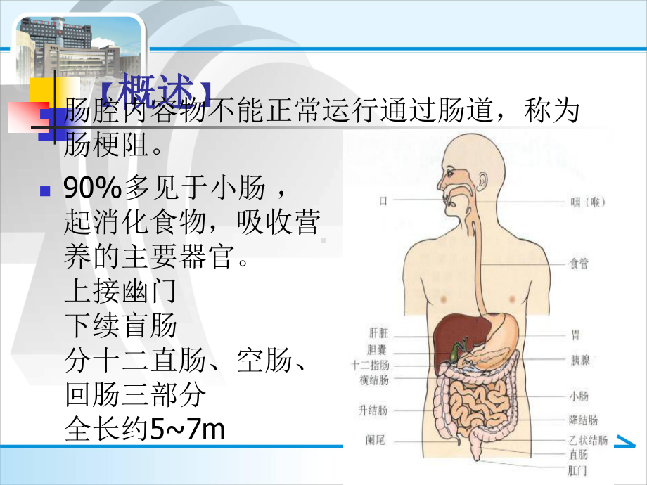 肠梗阻的护理ppt课件.ppt_第2页