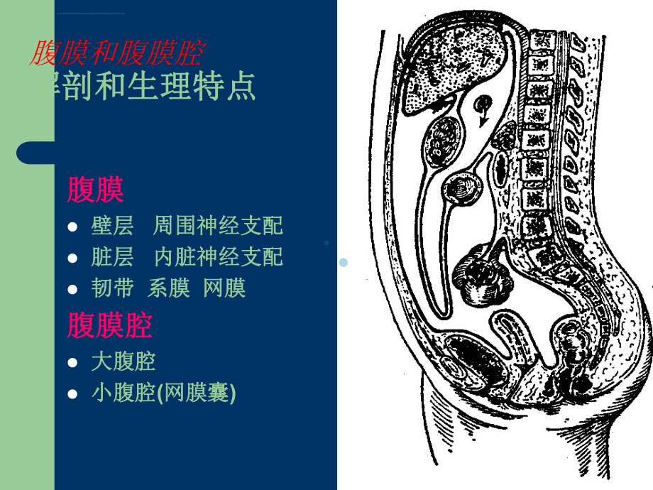 急性腹膜炎患者的护理ppt课件.ppt_第3页