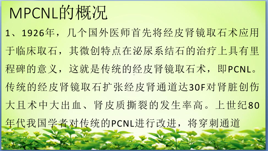 经皮肾右肾多发结石钬激光碎石术护理查房课件.pptx_第2页