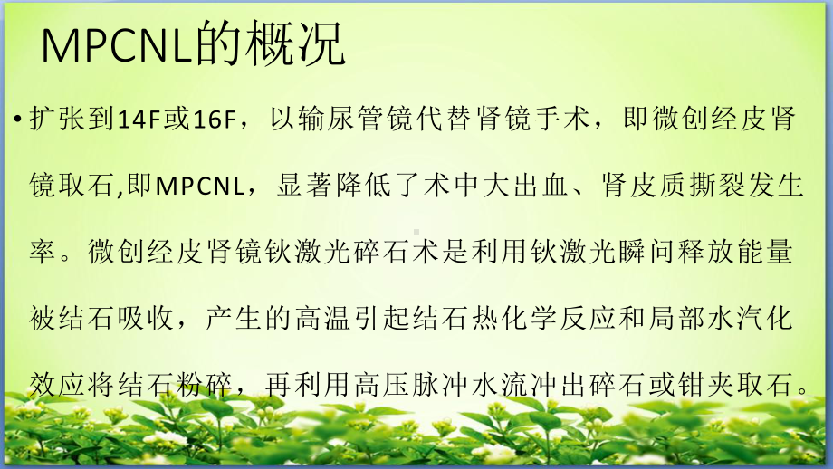 经皮肾右肾多发结石钬激光碎石术护理查房课件.pptx_第3页