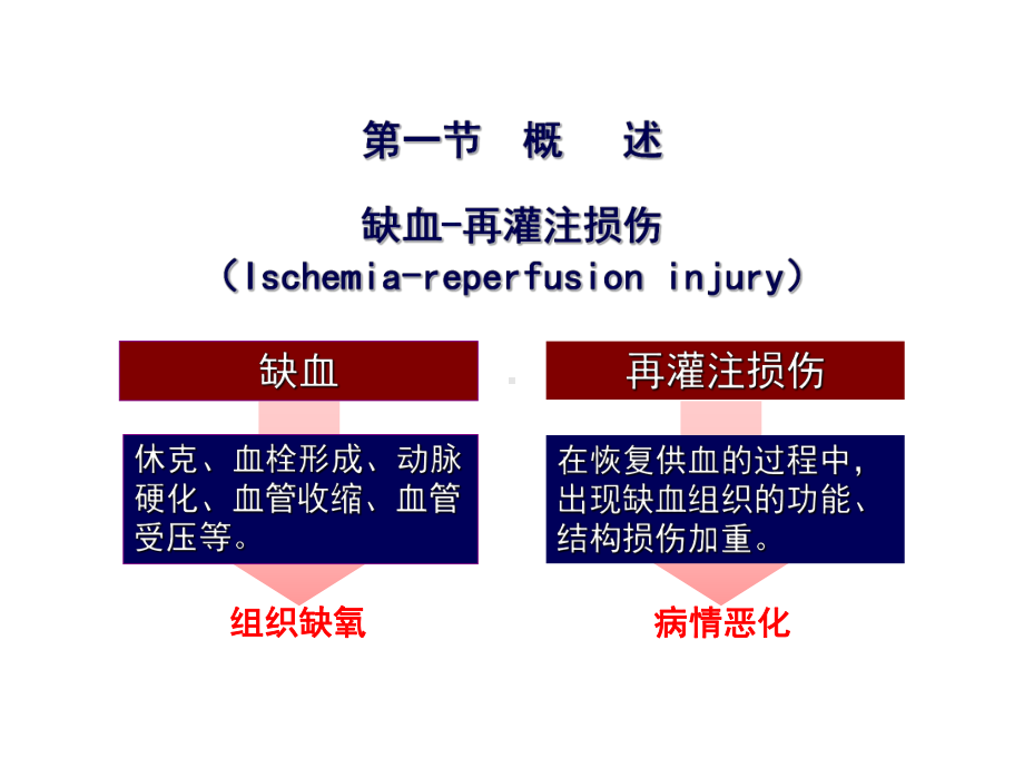 缺血再灌注损伤PPT课件.ppt_第3页