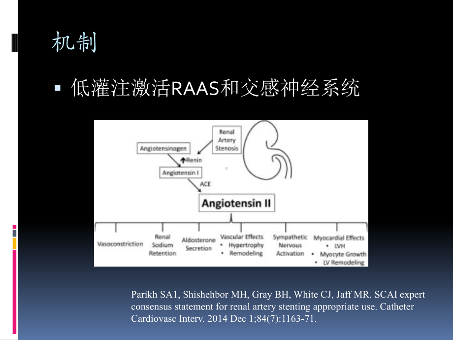 肾血管性高血压的诊断与治疗课件.ppt_第3页